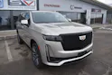 Cadillac Sport Platinum