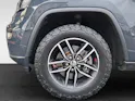 Jeep Grand Cherokee 3.0 CRD 250 Trailhawk