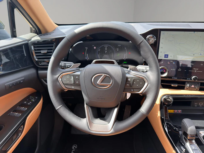 Fahrzeugbild LEXUS NX