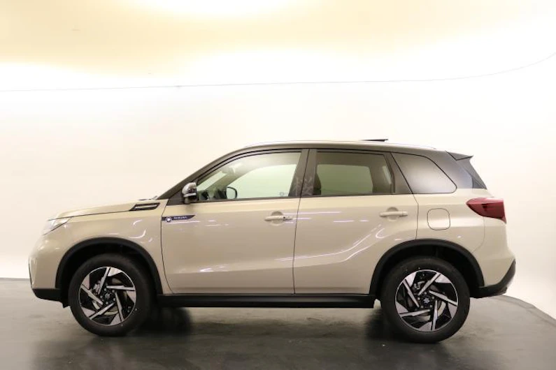 immagine del veicolo SUZUKI VITARA