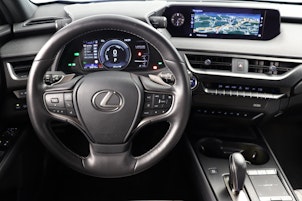 Vehicle image LEXUS UX 300e Excellence