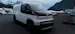 Kia PV5 Cargo 51.5 kWh Plus