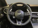 Alfa Romeo STELVIO 2.0 Q4 280 Veloce P