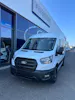 Ford Transit combi 350 L2 2.0 EcoBl Trend/150CV/Aut.