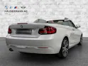 BMW 220i Luxury Line