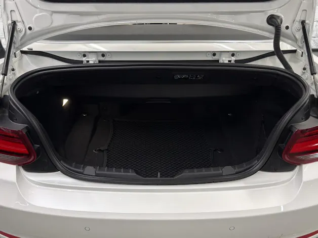 BMW 220i Luxury Line