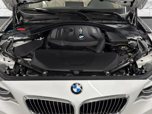 BMW 220i Luxury Line