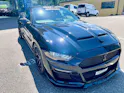 Ford Shelby Supersnake GT500 Appearence