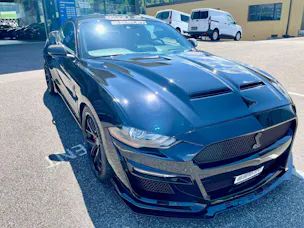 Ford Shelby Supersnake GT500 Appearence