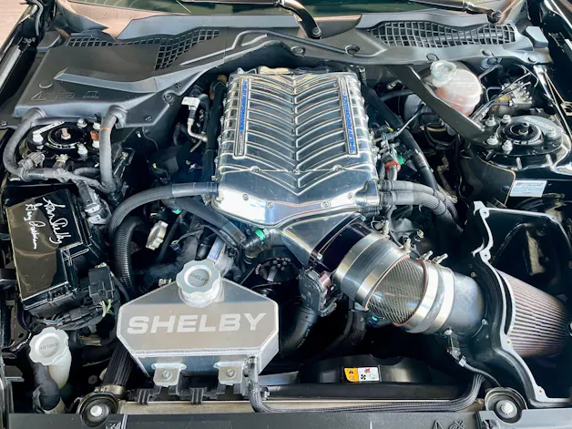 Ford Shelby Supersnake GT500 Appearence