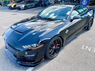 Ford Shelby Supersnake GT500 Appearence