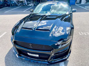 Ford Shelby Supersnake GT500 Appearence