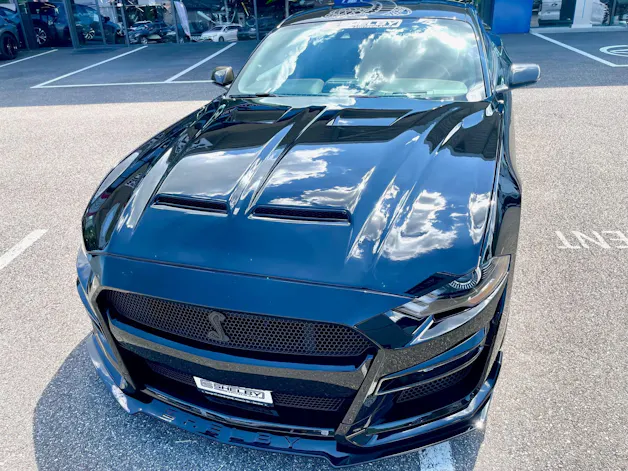Ford Shelby Supersnake GT500 Appearence