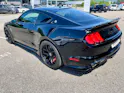 Ford Shelby Supersnake GT500 Appearence