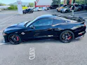 Ford Shelby Supersnake GT500 Appearence