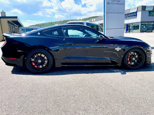 Ford Shelby Supersnake GT500 Appearence