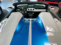 Ford Shelby Supersnake Speedster
