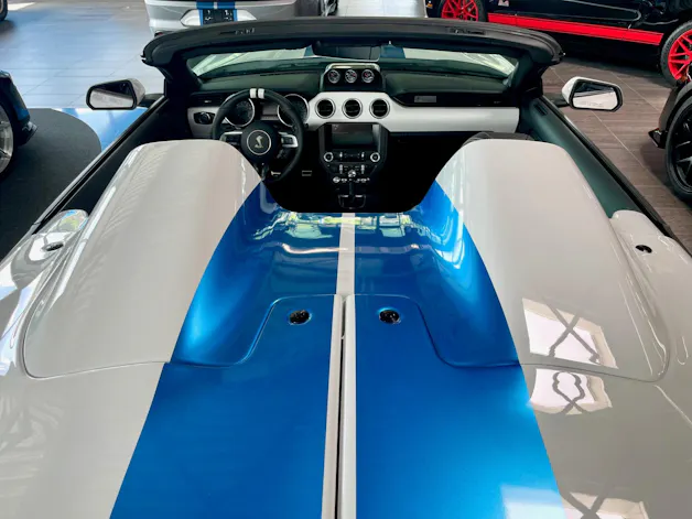 Ford Shelby Supersnake Speedster