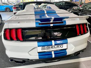 Ford Shelby Supersnake Speedster