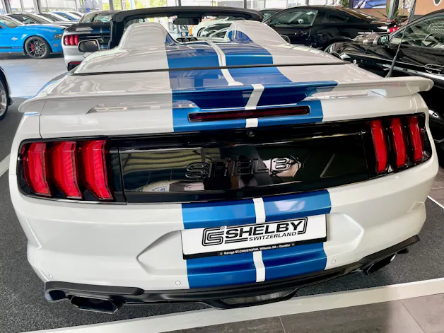 Ford Shelby Supersnake Speedster