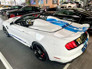 Ford Shelby Supersnake Speedster