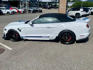 Ford Shelby Supersnake Speedster