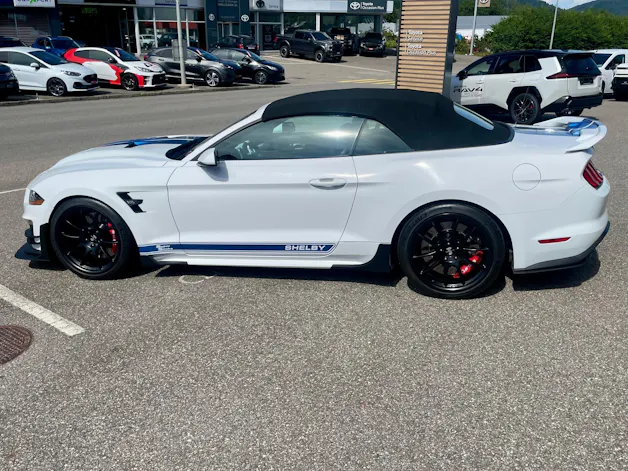Ford Shelby Supersnake Speedster