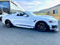 Ford Shelby Supersnake Speedster