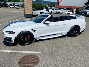 Ford Shelby Supersnake Speedster
