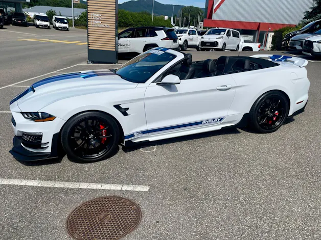 Ford Shelby Supersnake Speedster