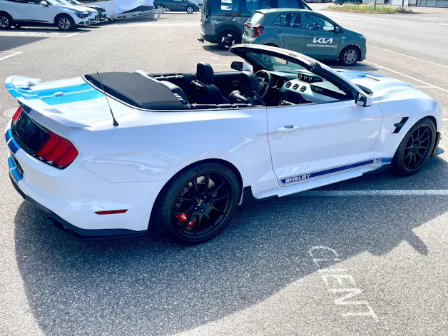 Ford Shelby Supersnake Speedster