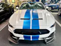 Ford Shelby Supersnake Speedster