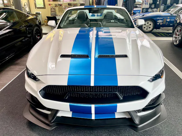 Ford Shelby Supersnake Speedster