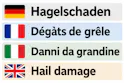 VW T6.1 2.0 TDI DSG