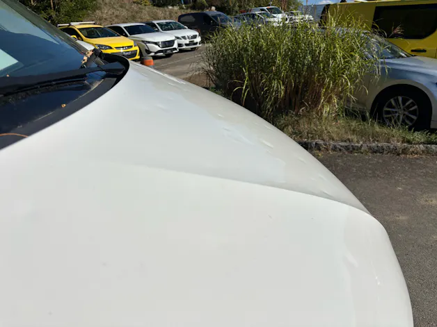VW T6.1 2.0 TDI DSG