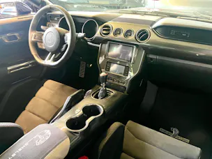 Ford Shelby GT350 Recaro