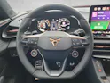 Cupra Terramar 2.0 TSI DSG 4Drive VZ