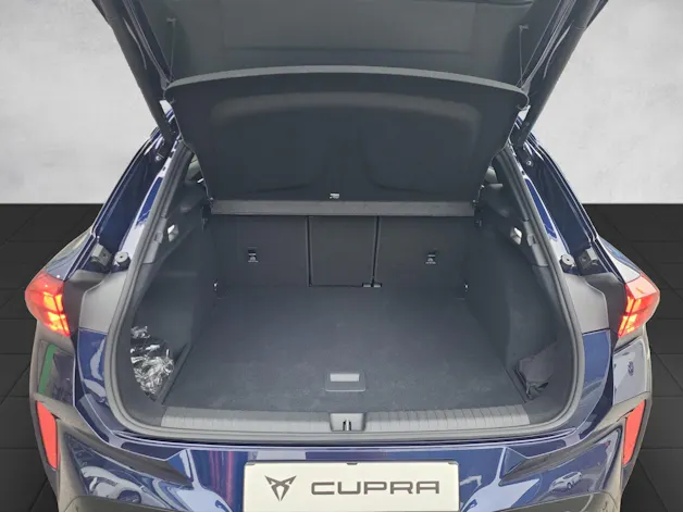 Cupra Terramar 2.0 TSI DSG 4Drive VZ