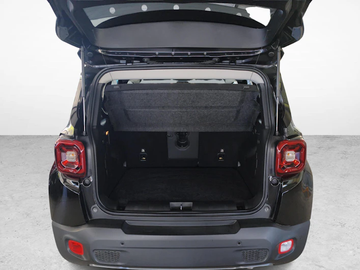 immagine del veicolo JEEP RENEGADE