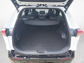 Fahrzeugbild TOYOTA RAV4 2.5 Plug-In-Hybrid Platinum