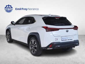 Fahrzeugbild LEXUS UX 300h F-Line + Gancio traino amovibile, pneumatici invernali e barre porta tutto inclusi