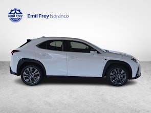 Fahrzeugbild LEXUS UX 300h F-Line + Gancio traino amovibile, pneumatici invernali e barre porta tutto inclusi