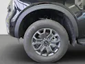 Ford Ranger D-Kab. Pick-up 3.0 EcoBlue 4x4 240 PS Wildtrak