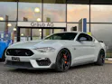 Ford Mustang Fastback 5.0 V8 Mach 1 Automat GRAIL