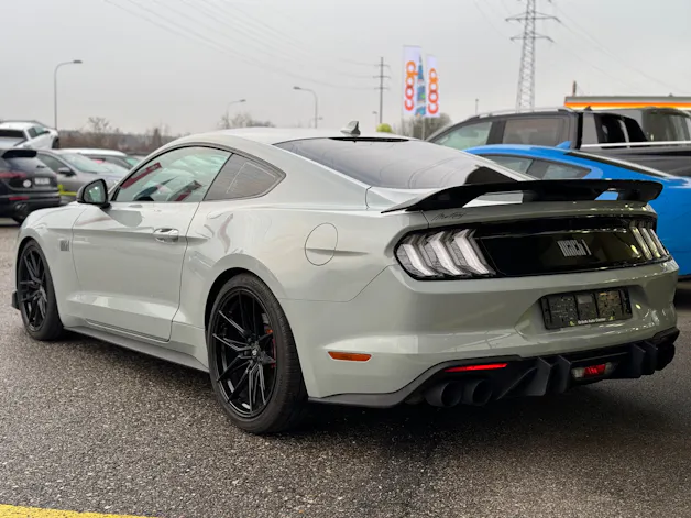 Ford Mustang Fastback 5.0 V8 Mach 1 Automat GRAIL