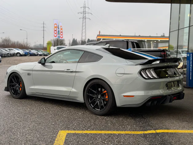 Ford Mustang Fastback 5.0 V8 Mach 1 Automat GRAIL