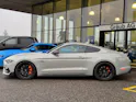 Ford Mustang Fastback 5.0 V8 Mach 1 Automat GRAIL