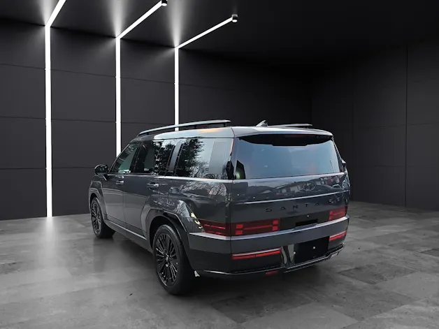 Hyundai Santa Fe 1.6 T-GDi HEV Calligraphy Swiss Edition