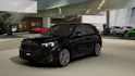 BMW X1 30e xDrive paddles