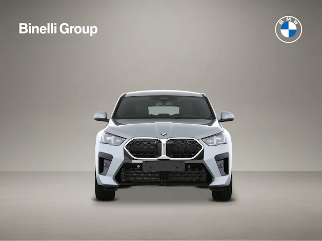 BMW X2 20d xDrive paddles